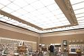 ngceiling_1